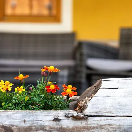 Cesa Raggio Di Sole Apartment Arraba