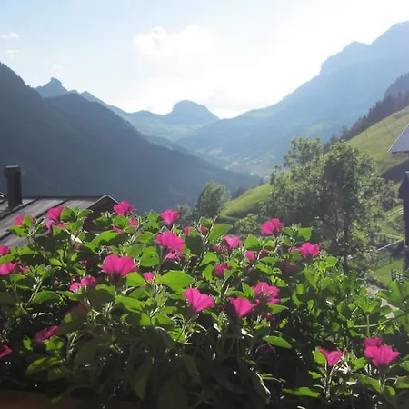 Cesa Raggio Di Sole Arraba