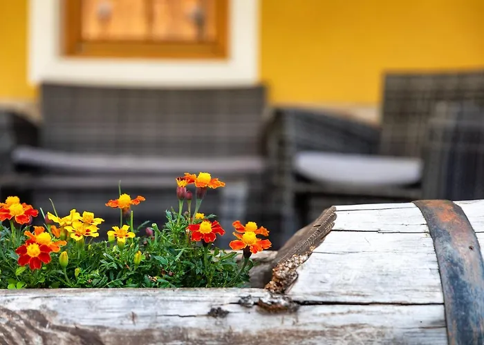 Cèsa Raggio Di Sole Appartamento Arabba